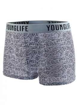 Boxer - Younglife Wold